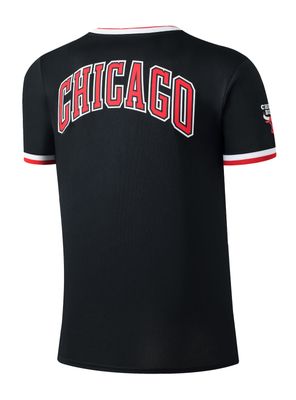 Imagen 2 del producto Polera Primary Team Logo Bassics