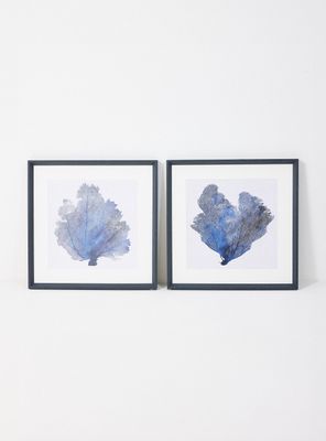 Set de 2 Cuadros Coral Hojas 60x60 cm