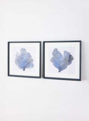 Imagen 2 del producto Set de 2 Cuadros Coral Hojas 60x60 cm