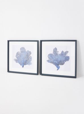 Imagen 2 del producto Set de 2 Cuadros Coral 60x60 cm