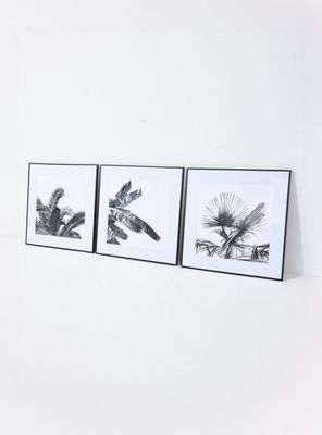 Imagen 2 del producto Set de 3 Cuadros Hojas Palm 60x60 cm