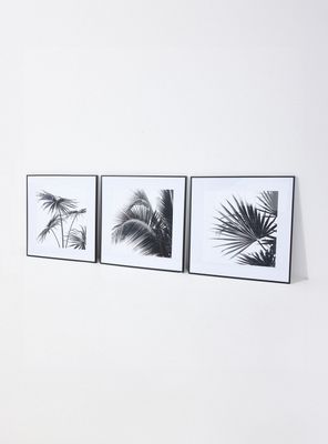 Imagen 2 del producto Set de 3 Cuadros Palm 60x60 cm