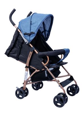 Coche Paragua y Paseo Trento