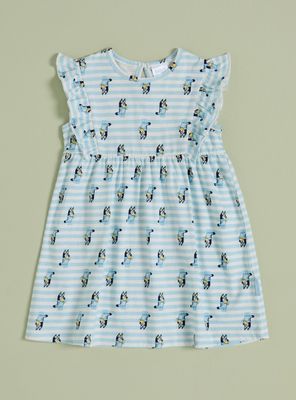 Imagen 1 del producto Vestido Estampado Bluey y Rayas