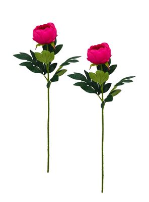 Set de 2 Peonías 75 cm Fucsia