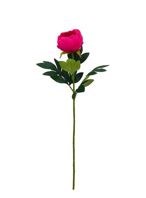 Imagen 2 del producto Set de 2 Peonías 75 cm Fucsia