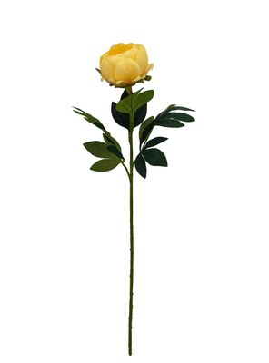 Imagen 2 del producto Set de 2 Peonías 75 cm Amarilla