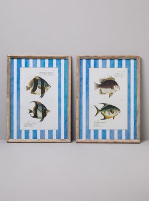 Set de 2 Cuadros Peces 2