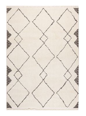 Imagen 1 del producto Alfombra Origen 160x230 cm GJ54A