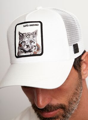 Jockey Gato Andino Algodón Orgánico