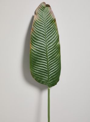 Imagen 2 del producto Hoja dee Banana Decorativa 120 cm