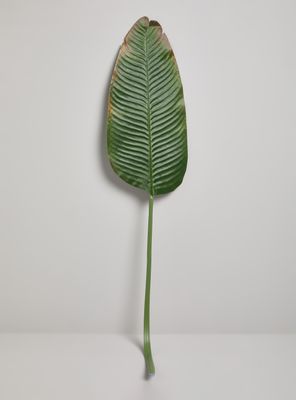 Hoja dee Banana Decorativa 120 cm