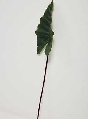 Imagen 2 del producto Hoja de Taro 114 cm