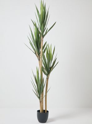 Planta Decorativa Yuca 180 cm