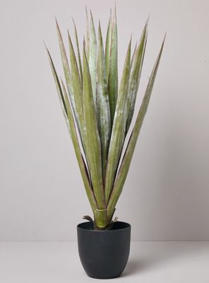 Planta Decorativa Agave 78 cm