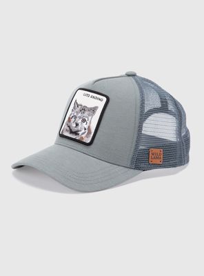 Imagen 2 del producto Jockey Gato Andino Fibra de Origen Natural Aqua Lino