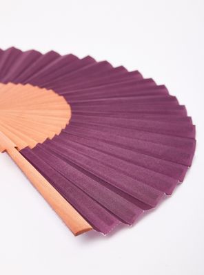 Imagen 2 del producto Set de Accesorios Abanico Color 2 Piezas