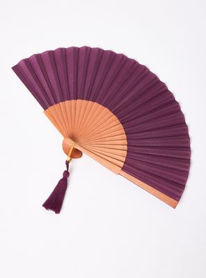 Imagen 1 del producto Set de Accesorios Abanico Color 2 Piezas