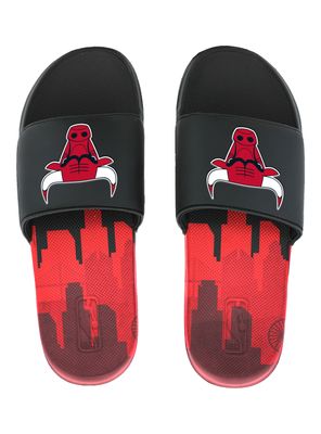 Imagen 1 del producto Sandalia Team Logo SlideHombre