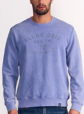 Imagen 1 del producto Polerón Terry Pigment Regular