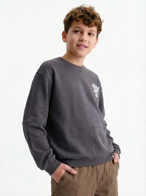 Imagen 1 del producto Polerón Crew con Estampado Espalda