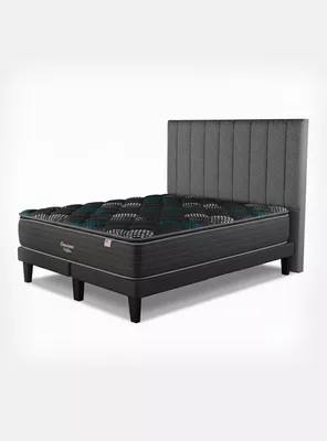 Cama Europea Dolphin 2 Plazas + Respaldo TIB GR