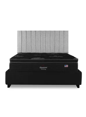 Cama Europea Dolphin 2 Plazas Base Dividida y Respaldo TIB P