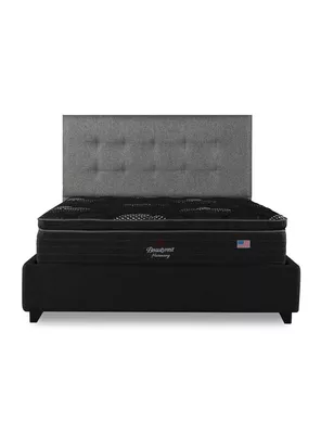 Cama Europea Harmony 2 Plazas Base Dividida con Respaldo