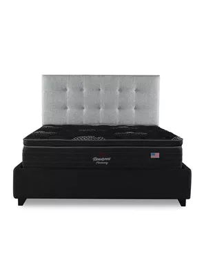 Cama Europea Harmony King Base Dividida + Respaldo TIG PL