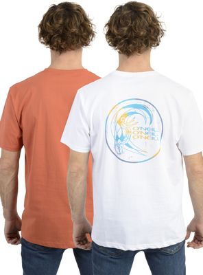 Imagen 2 del producto Pack 2 Poleras Algodón Lisa