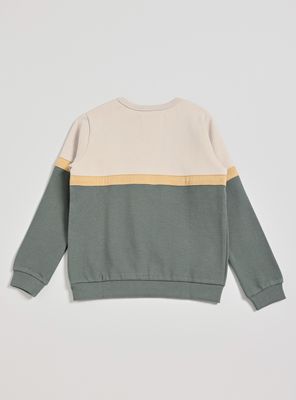 Imagen 2 del producto Polerón Color Block Textura