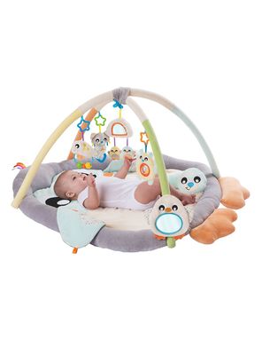 Gimnasio Acurrucame Pingüino