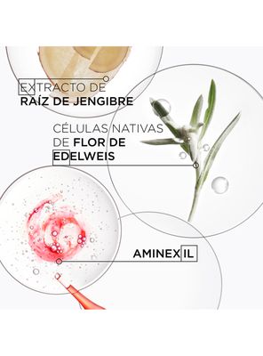 Imagen 2 del producto Shampoo Bain Nutri-Fortifiant 250ml + Máscara Masque Reconstituant 200ml