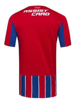 Imagen 2 del producto Camiseta Adulto Colo Colo 2025 Tercera