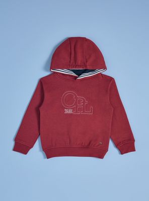 Imagen 2 del producto Polerón con Aplicación en Relieve