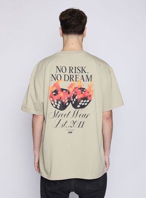 Imagen 2 del producto Polera No Risk No Dream