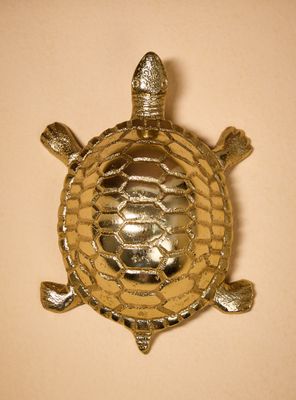Imagen 2 del producto Adorno Tortuga Dorada