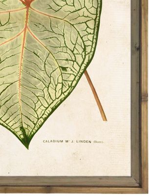 Imagen 2 del producto Cuadro Hoja 50x70 cm