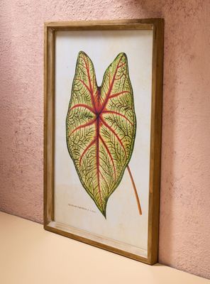 Imagen 2 del producto Cuadro Hoja 50x70 cm