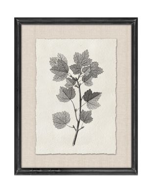 Imagen 2 del producto Set de 2 Cuadros Hojas 35 cm