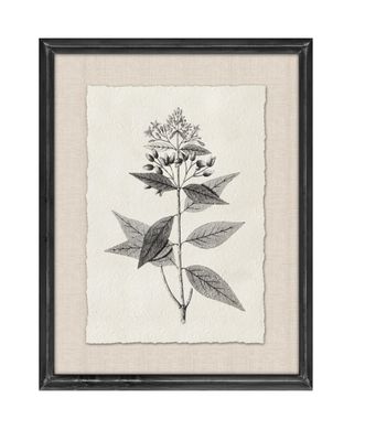 Imagen 2 del producto Set de 2 Cuadros Hojas 35x45 cm