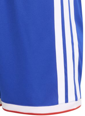 Imagen 2 del producto Short Local Selección Chilena 26