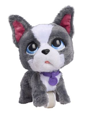 Imagen 2 del producto Peluche Walk-A-Lots Bulldog Francés