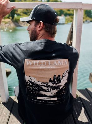 Imagen 2 del producto Polera Print Las Torres del Paine Back