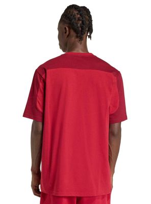 Imagen 2 del producto Polera Collegiate Té Big Logo