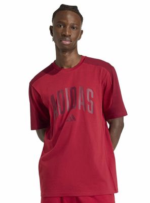 Imagen 1 del producto Polera Collegiate Té Big Logo