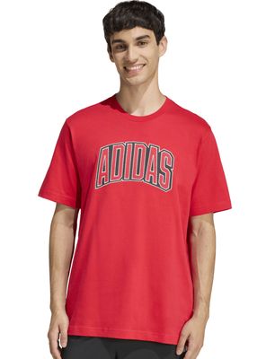 Polera Stadium Con Gráfico Universitario