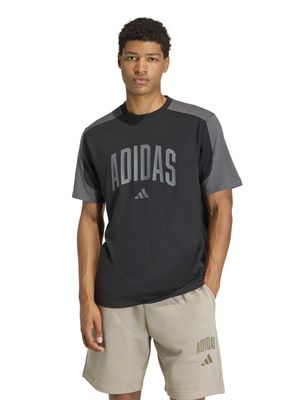 Imagen 1 del producto Polera Full Big Logo Collegiate Te