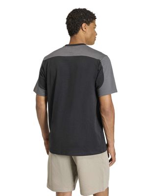 Imagen 2 del producto Polera Full Big Logo Collegiate Te