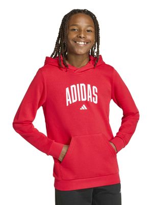 Imagen 2 del producto Polerón Urbano J College para Niñas y Niños